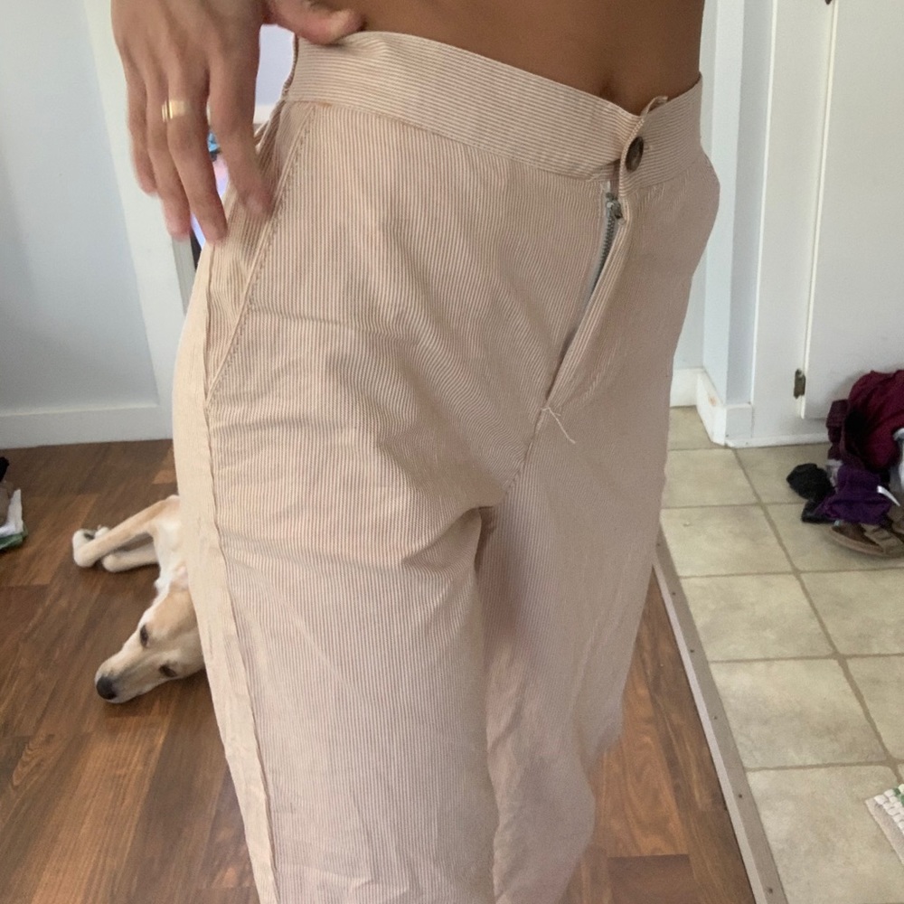 striped pants dress pant